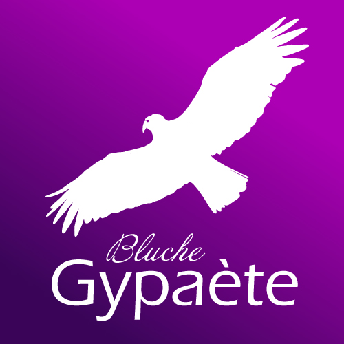 Projet immobilier Gypaète, Bluche, Chem. de Praty 4-6, 3975 Crans-Montana, Suisse